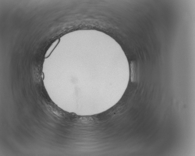 X0000060271491200511241440