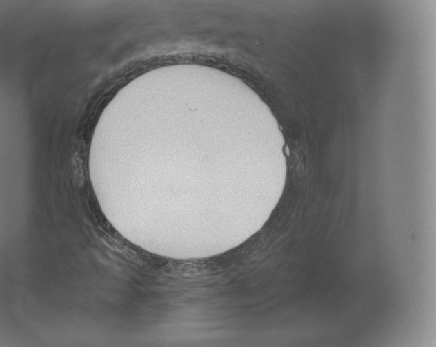 X0000060271493200511241440