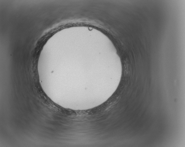 X0000060271494200511241440