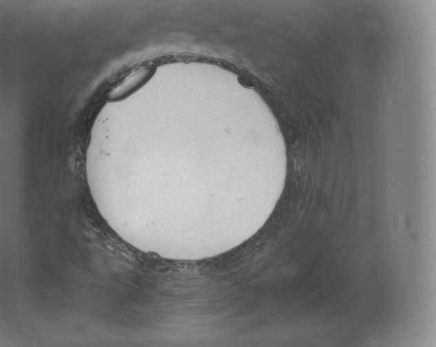 X0000060271495200511241440