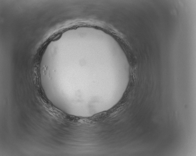 X0000060271496200511241440