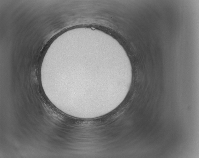 X0000060271497200511241440