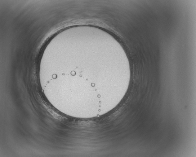 X0000060271498200511241440