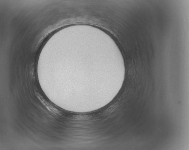 X0000060271499200511241440