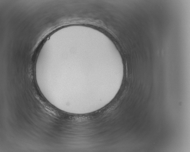 X0000060271501200511241440