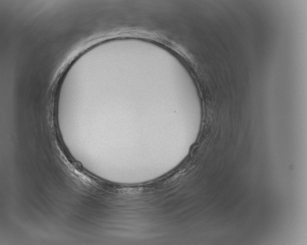 X0000060271504200511241440