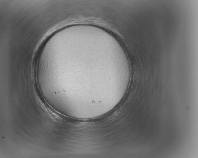 X0000060271506200511241440