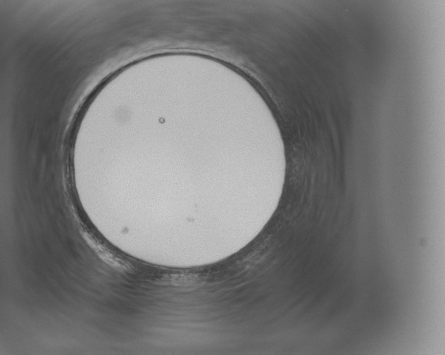 X0000060271511200511241440