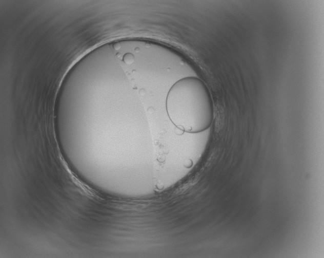 X0000060271513200511241440