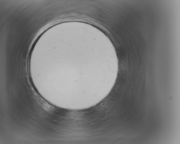 X0000060271514200511241440