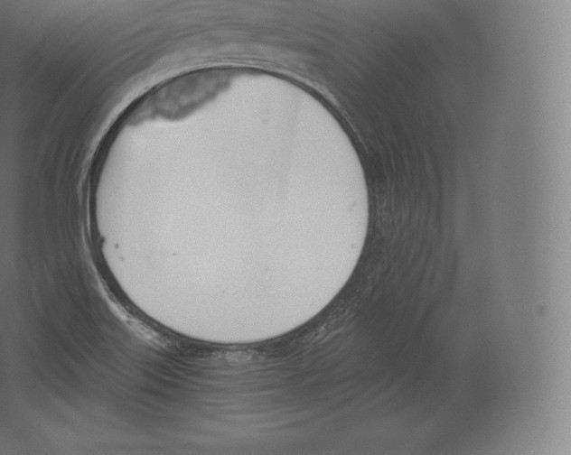 X0000060271515200511241440