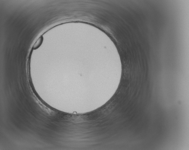 X0000060271516200511241440