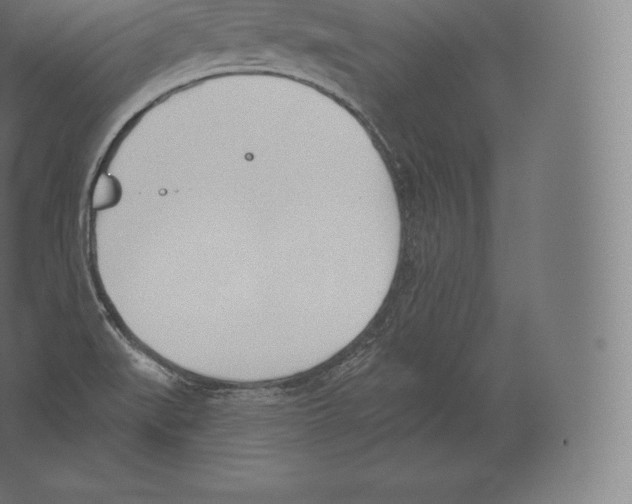 X0000060271519200511241440