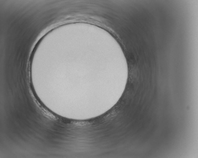 X0000060271522200511241440