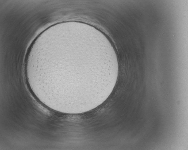 X0000060271525200511241441