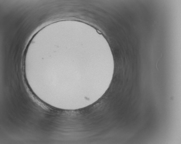 X0000060271526200511241441