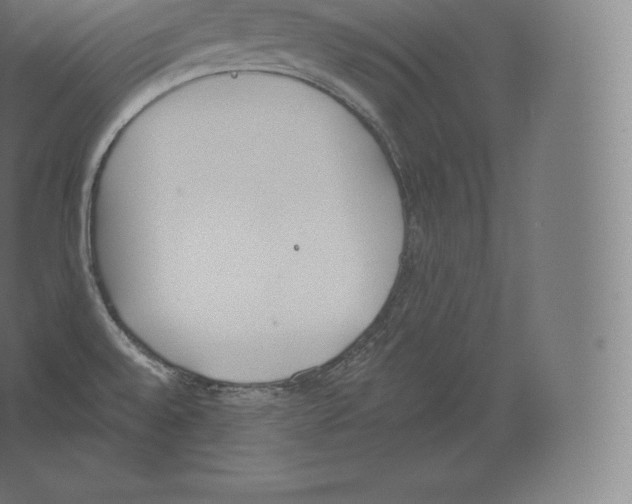 X0000060271528200511241441