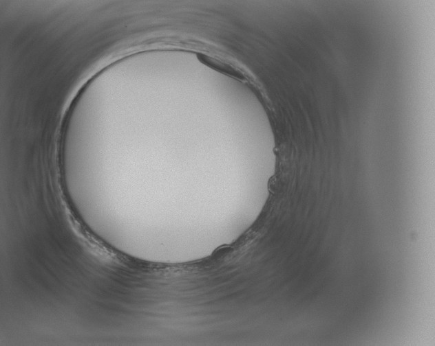 X0000060271530200511241441