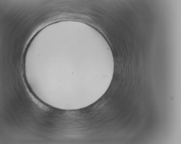 X0000060271531200511241441