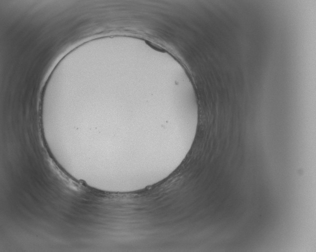 X0000060271532200511241441