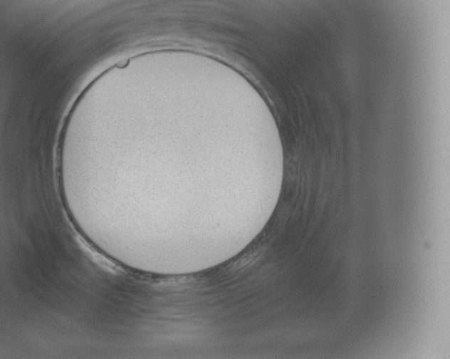 X0000060271535200511241441