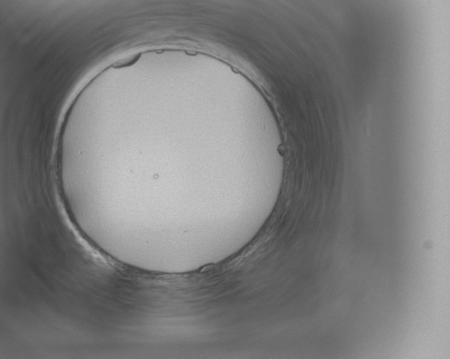 X0000060271536200511241441