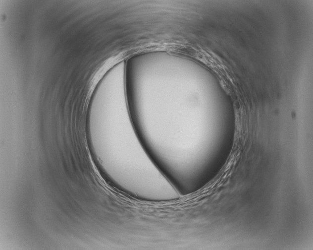 X0000060280003200510281023