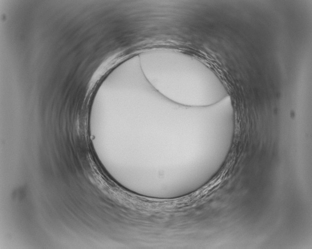 X0000060280004200510281023