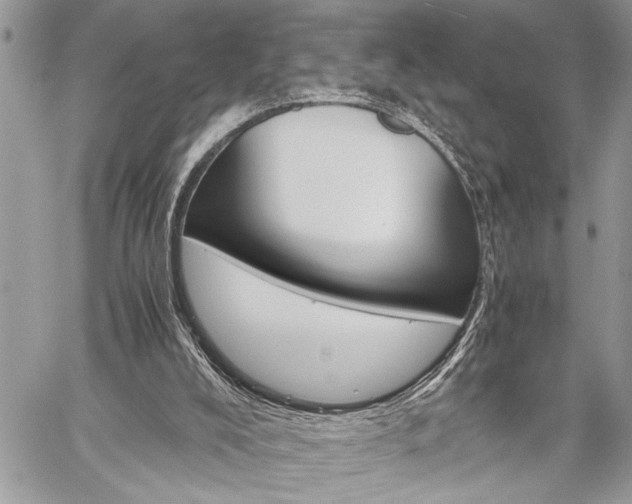 X0000060280008200510281023
