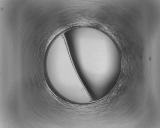 X0000060280011200510281023