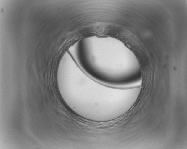 X0000060280035200510281022
