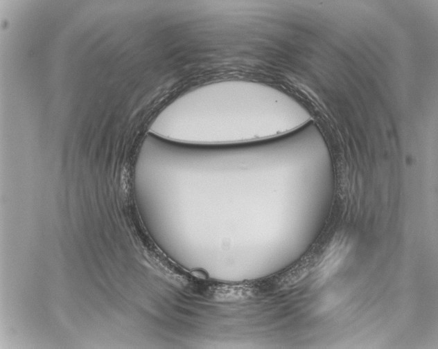 X0000060280077200510281022