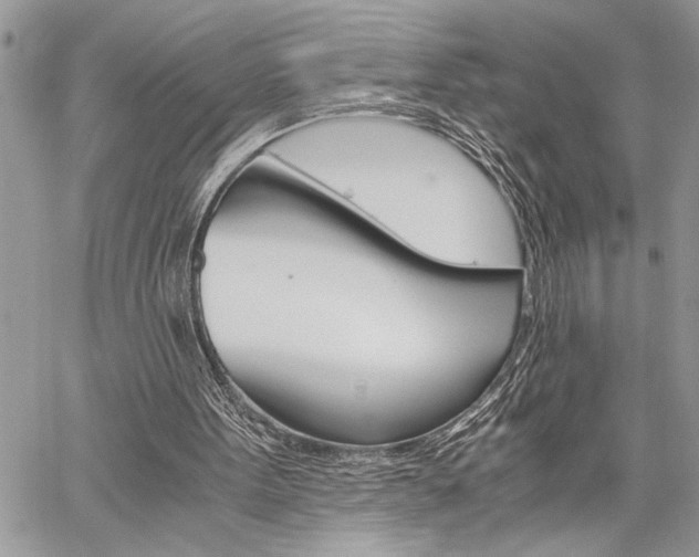 X0000060280099200510281021