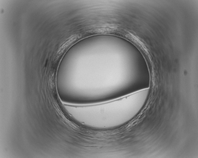 X0000060280105200510281021