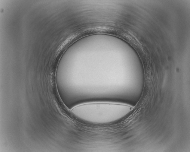 X0000060280111200510281021