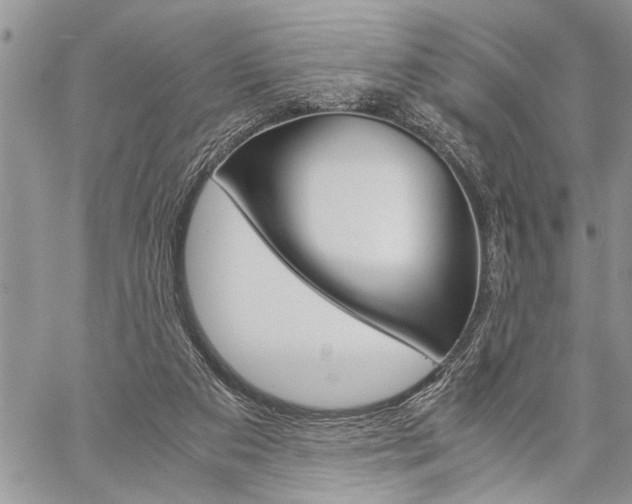 X0000060280113200510281021