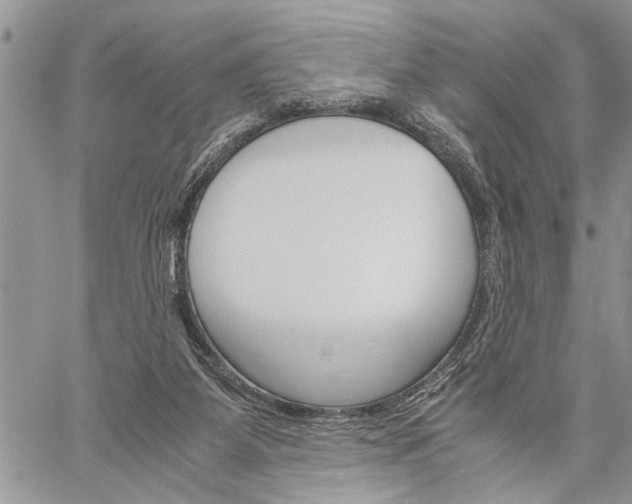 X0000060280115200510281021