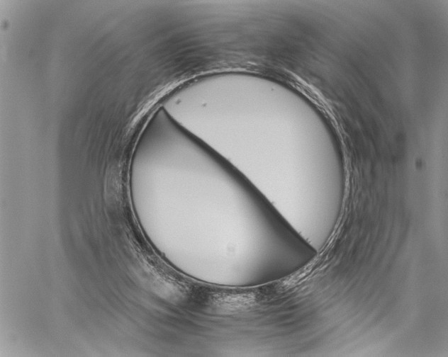 X0000060280155200510281020