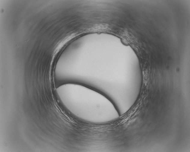 X0000060280196200510281020