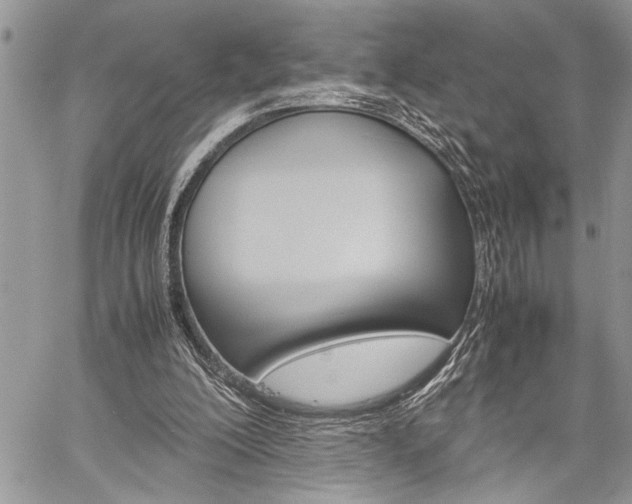 X0000060280200200510281019