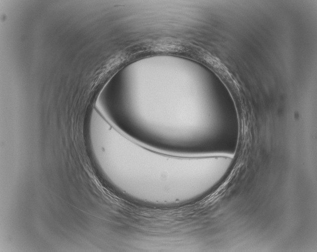 X0000060280201200510281019
