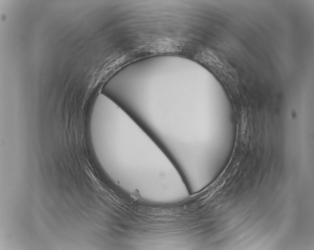 X0000060280202200510281019
