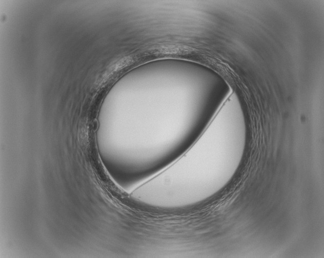 X0000060280207200510281019