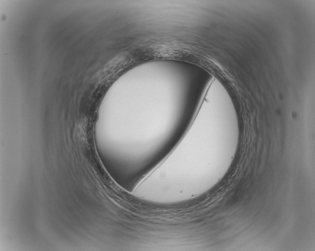 X0000060280217200510281019