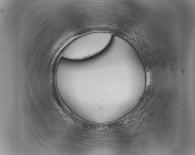X0000060280243200510281018