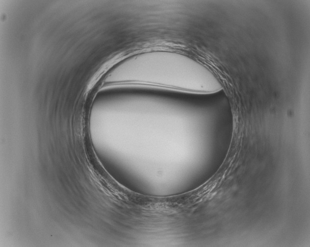 X0000060280244200510281018
