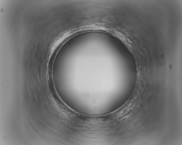X0000060280248200510281018