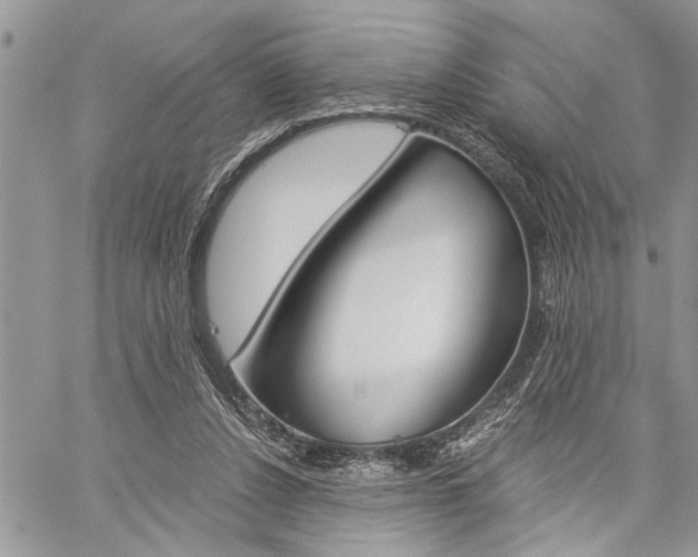 X0000060280256200510281018