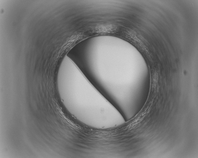 X0000060280257200510281018