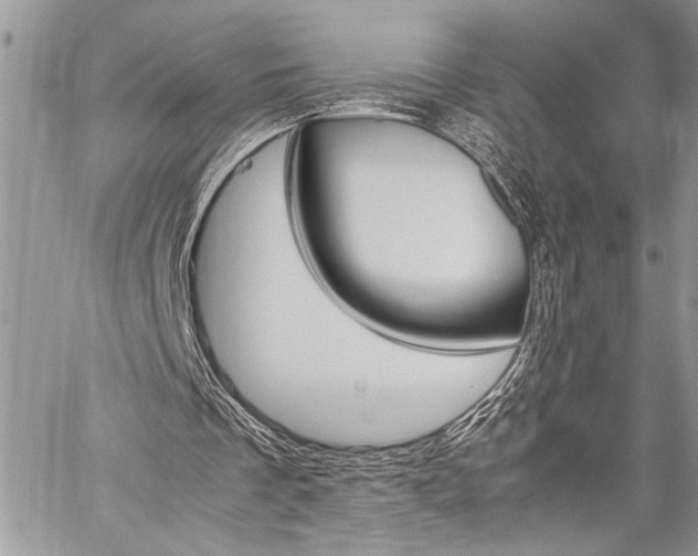 X0000060280289200510281018
